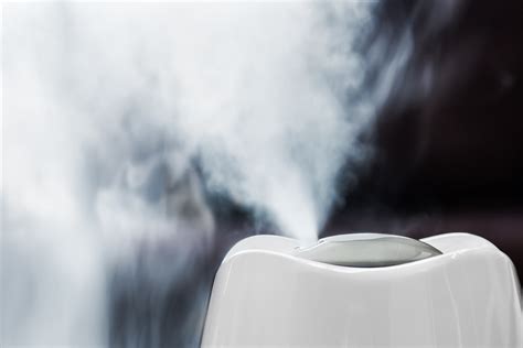 Need A Humidifier Or Dehumidifier Indoor Air Quality