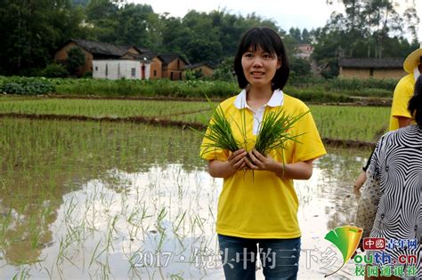 【中国青年网】广西学子青春下乡：双脚扎进泥土里，助力中造插秧 共青团贺州学院委员会