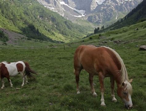 Terme Di Bormio Ecoturismo Valtellina E Valchiavenna