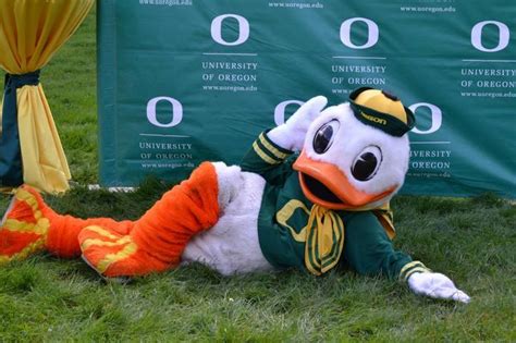 Pin By Linda Graham On 04 Duck Leader Of The Quack Oregon Ducks