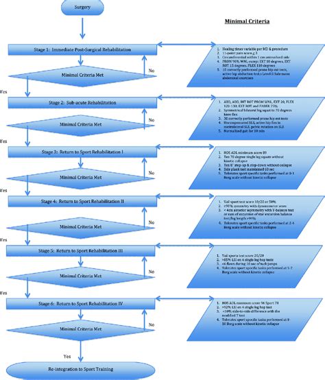 Flowchart To Illustrate The Stages Of The Rehabilitation Process And