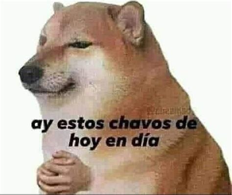 Pin En Memes