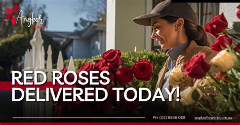 Same-Day Roses Delivery | Fresh Roses Delivered Today