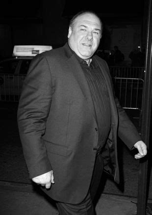 Nie Yje James Gandolfini Filmowy Tony Soprano Kozaczek