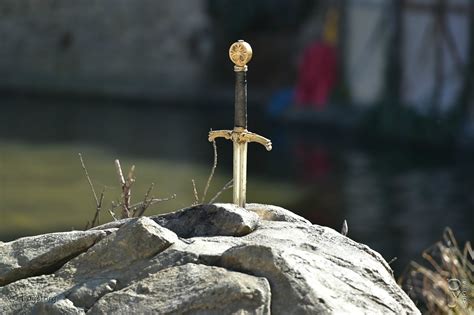 Chevalier De La Table Ronde Puy Story