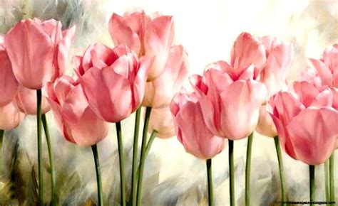 Tulips Flowers Vintage Wallpaper Hd | Full HD Wallpapers