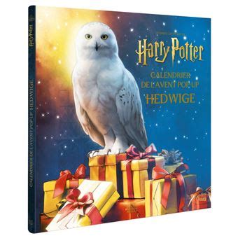 Harry Potter Calendrier De L Avent Hedwige Harry Potter Collectif