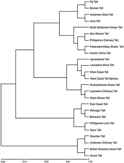 Upgma Cluster Phenogram Showing The Genetic Relationships Among The