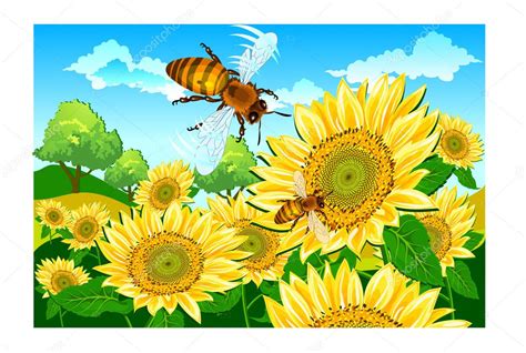 Bee and sunflower — Stock Vector © creatOR76 #1451624