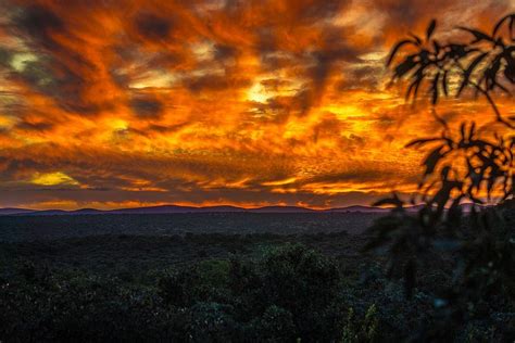 Fire in the sky | Sky, Sunrise, Game reserve