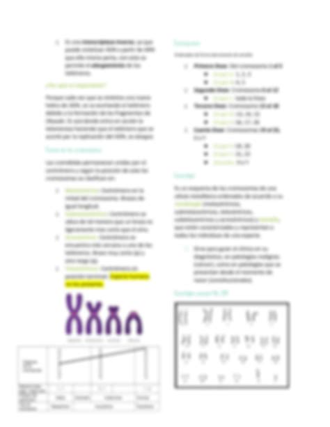 SOLUTION Estructura Funcion Y Clasificacion De Cromosomas Studypool