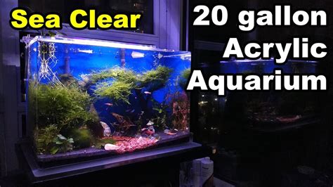 Seaclear Acrylic Aquarium 20 Gallon Outlet Prices | www.pinnaxis.com