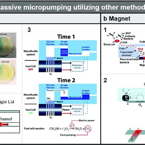 Passive Micropumping Utilizing Pressure Directly Without Air Transfer