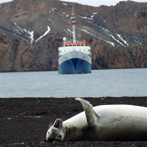 Ushuaia to Antarctica cruise (Antarpply) - Patagonline