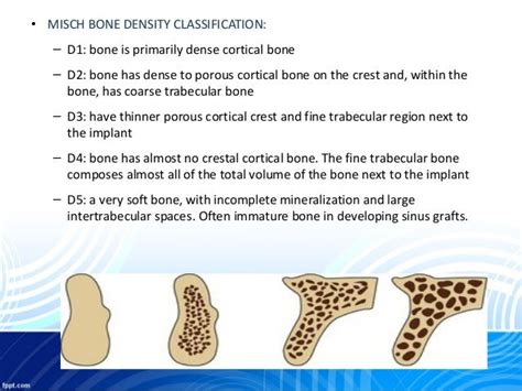 Alveolar Bone In Health