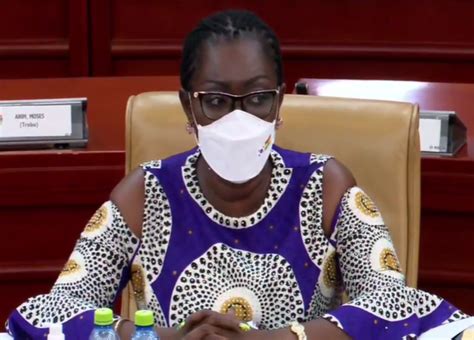 Ursula Owusu Ekuful Apologises To NDC MPs For Her Unsavoury Comment