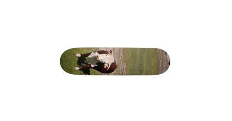 Cow Skateboard Zazzle