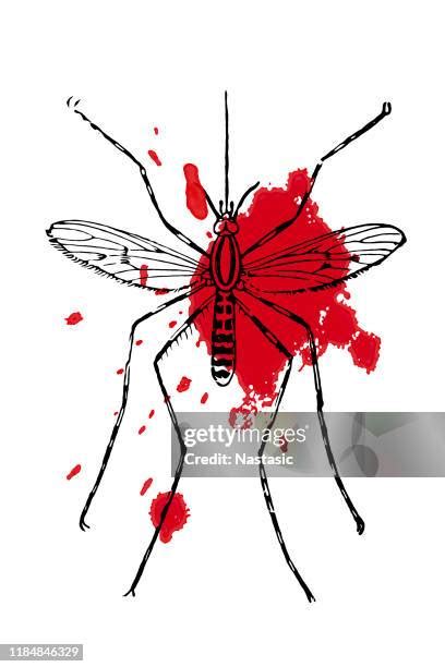 Dead Mosquito White Background High Res Illustrations Getty Images