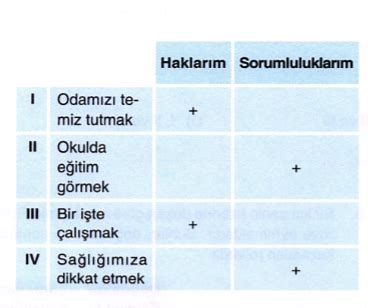 Toplumdaki Rollerim Test Sorular