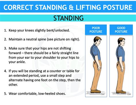 Posture & Lifting Guide | Sterner Physical Therapy