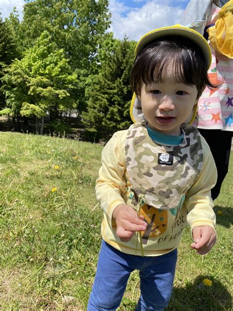 自然の中で② 札幌の幼稚園 ひばりが丘明星幼稚園