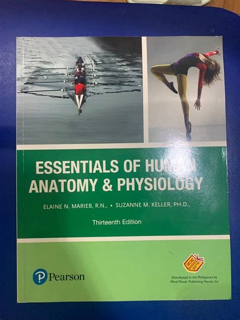 Essentials Of Human Anatomy And Physiology 13th Ed On Carousell