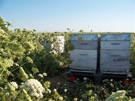 Cas-types et cas-concrets | Ada Occitanie 