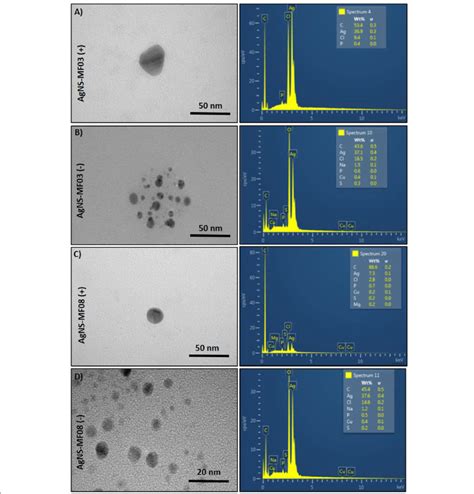 Characterization Of Silver Nanostructures Electronic Micrographs