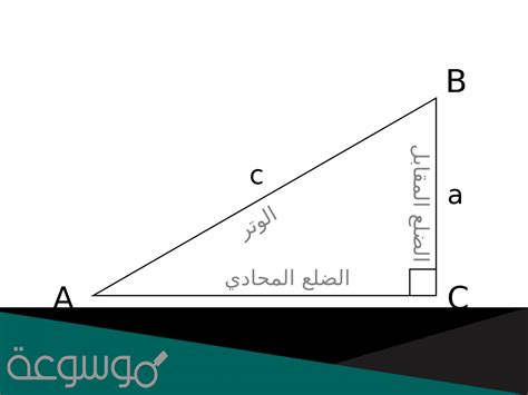 المثلث في الشكل أدناه قائم الزاوية و مختلف الأضلاع سوالف نت