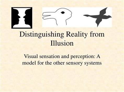 Ppt Distinguishing Reality From Illusion Powerpoint Presentation