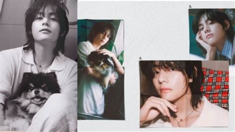 Love Bts V Aka Kim Taehyungs Wolf Cut In Solo Debut Album Layover