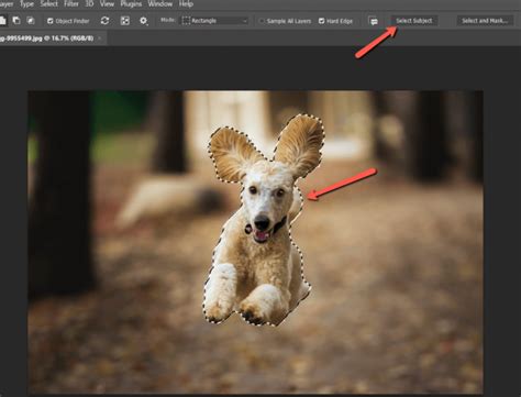 How to Warp Image in Photoshop (3 Easy Steps + Tips)