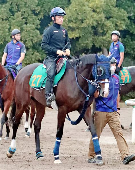 【サウジアラビアrc】“伝説の新馬戦”を制したボンドガール、男馬との対戦にも自信 手塚貴久調教師「2頭（シュトラウス、ゴンバデカーブース）に