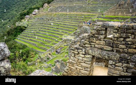 The Terraces Or Agricultural Platforms Of The Inca Empire Machu Picchu