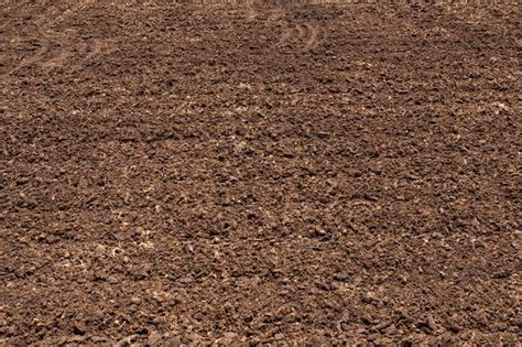 Premium Photo | Closeup fertile soil in organic agricultural farm.