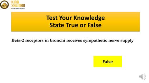 Solution Adrenergic Adrenergic Receptors Studypool