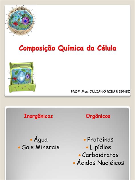 Aula 6 Composiçao Quimica Da Célula | Carboidratos | Proteínas
