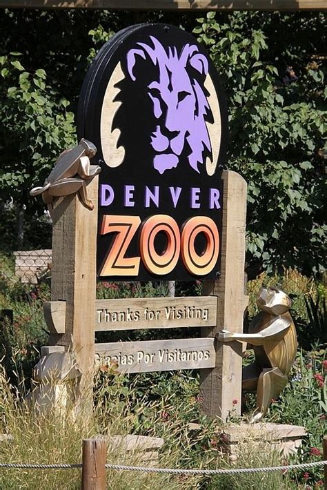 Denver Zoo | Denver zoo, Denver travel, Colorado vacation