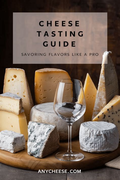 Cheese Tasting Guide Savoring Flavors Like A Pro Anycheese Blog