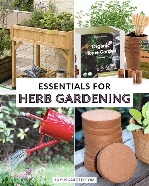 Herb Gardening For Beginners Guide To Growing Herbs