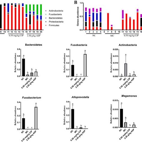 Effect Of Arula Powder On The Composition Of Rectal Microbiota In