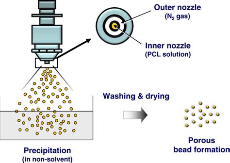 Schematic Diagram Showing The Porous Pcl Beads Fabrication Procedure