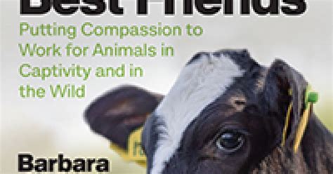 Engaging In Compassionate Action For Animals Psychology Today