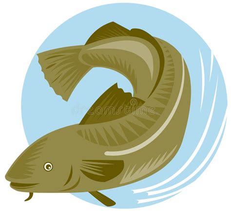 Cod Fish Stock Vector Illustration Of Fishing Liver