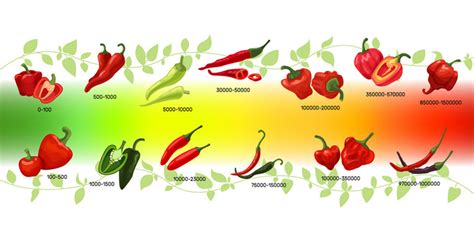 Hot Thai Chili Pepper And Its Heat Content Go Find Orient