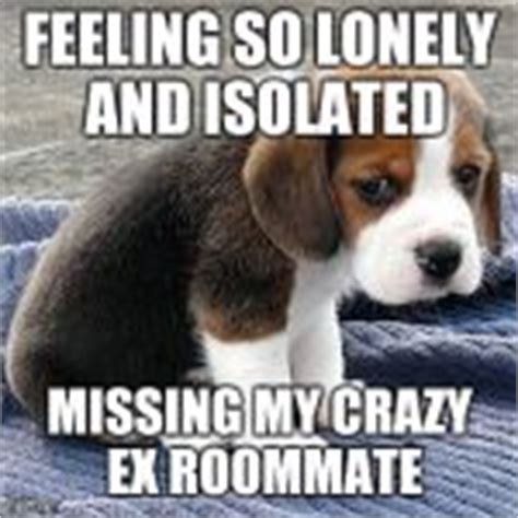 sad puppy Meme Generator - Imgflip