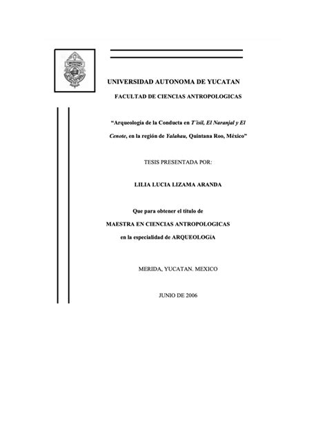 (PDF) BehavioralArchaeology in T'isil, Naranjal, and El Cenote ...