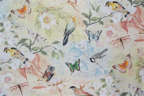 Birds Dragonflies Butterflies Fabric Songbirds Fabric