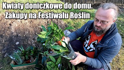 Kwiaty doniczkowe do domu Zakupy na Festiwalu Roślin Łatwe w uprawie