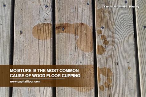 Common Wood Floor Damage Types And Causes Capital Hardwood Flooring